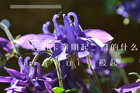 信用卡逾期起訴目的(什么情況下信用卡逾期會(huì)被起訴)