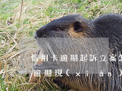 信用卡逾期起訴立案怎么解決(因服刑信用卡逾期現(xiàn)被起訴該怎么做)