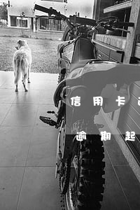 信用卡逾期起訴立案會影響子女嗎-信用卡逾期起訴立案會影響子女嗎知乎