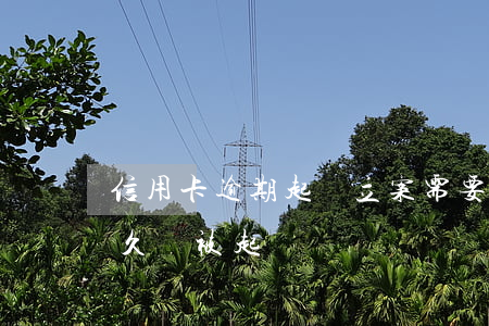 信用卡逾期起訴立案需要多久(“信用卡逾期多久會被起訴”)
