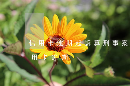 信用卡逾期起訴算刑事案件嗎(民事訴訟法信用卡逾期)