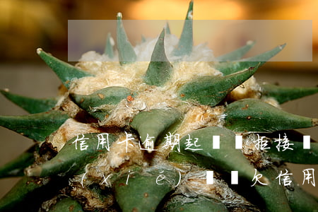 信用卡逾期起訴簽拒接調(diào)解協(xié)議書(欠信用卡收到仲裁通知書)
