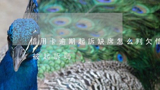 信用卡逾期起訴缺席怎么判(欠信用卡逾期會被起訴嗎)
