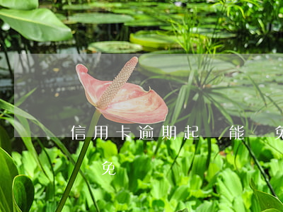 信用卡逾期起訴能減免嗎（信用卡逾期起訴能減免）