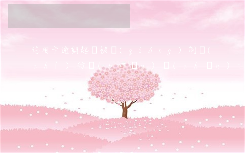信用卡逾期起訴被強(qiáng)制執(zhí)行標(biāo)準(zhǔn)-民事訴訟法信用卡逾期