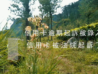 信用卡逾期起訴被錄入系統(tǒng)(欠信用卡被法院起訴了怎么辦)