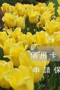信用卡逾期起訴要取保候審嗎(被信用卡起訴申請保全)