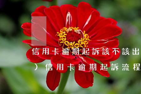 信用卡逾期起訴該不該出庭(銀行對(duì)信用卡逾期起訴流程)