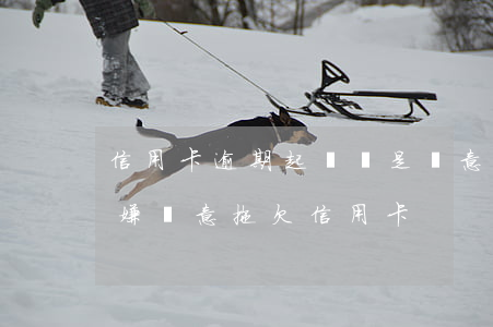 信用卡逾期起訴說是惡意消費(fèi)(涉嫌惡意拖欠信用卡)