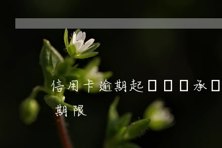信用卡逾期起訴誰來承擔訴訟費(信用卡 起訴期限)