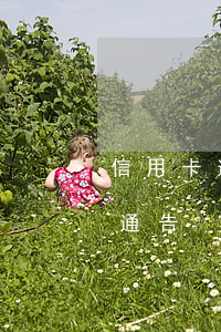 信用卡逾期起訴誰通知(信用卡逾期收到起訴通告)