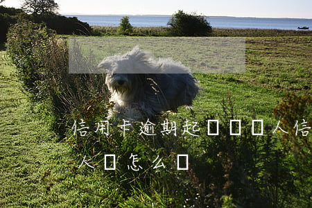 信用卡逾期起訴負債人(信用卡逾期起訴負債人會怎么樣)