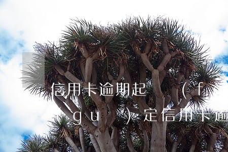 信用卡逾期起訴費(fèi)多少(今年新規(guī)定信用卡逾期多久會(huì)起訴)