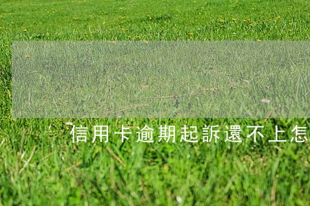 信用卡逾期起訴還不上怎么辦