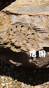 信用卡逾期起訴還清(信用卡逾期起訴還清)