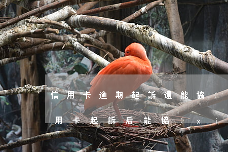 信用卡逾期起訴還能協(xié)商么(欠信用卡起訴后能協(xié)商嗎)