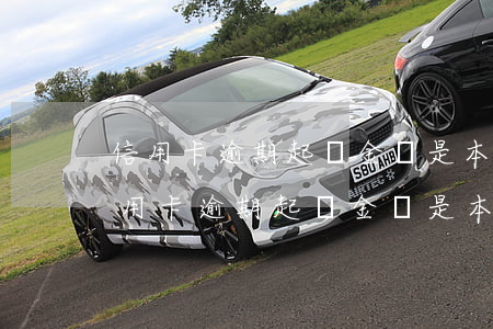 信用卡逾期起訴金額是本金還是加利息-信用卡逾期起訴金額是本金還是加利息呢