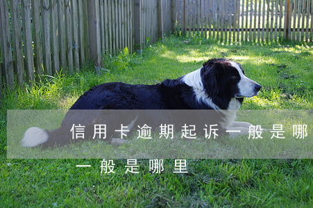 信用卡逾期起诉一般是哪里(信用卡逾期起诉一般是哪里)