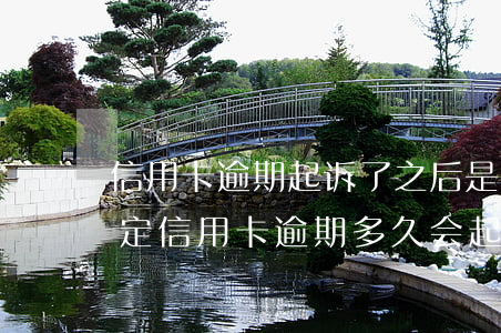 信用卡逾期起诉了之后是怎么处理(今年新规定信用卡逾期多久会起诉)