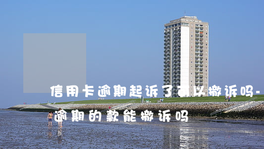 信用卡逾期起诉了可以撤诉吗-起诉后还清逾期的款能撤诉吗