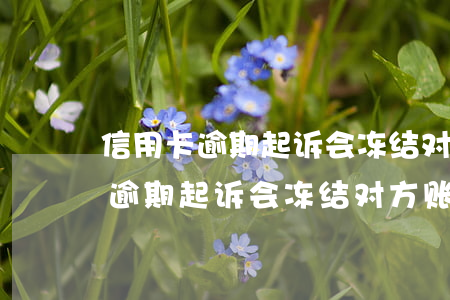 信用卡逾期起诉会冻结对方账户吗-信用卡逾期起诉会冻结对方账户吗知乎