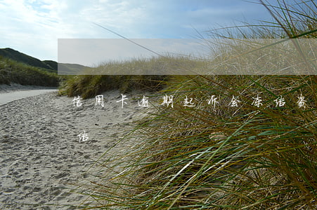 信用卡逾期起诉会冻结资产吗(信用卡 逾期 冻结)