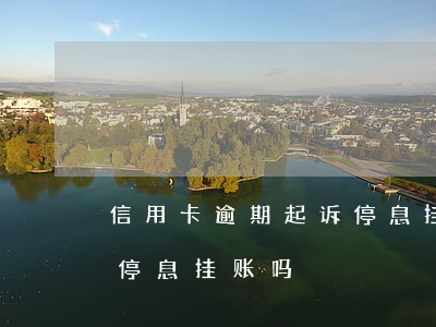 信用卡逾期起诉停息挂账(欠信用卡可以申请停息挂账吗)