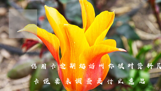 信用卡逾期起诉叫你核对资料民生-欠信用卡说要来调查是什么意思