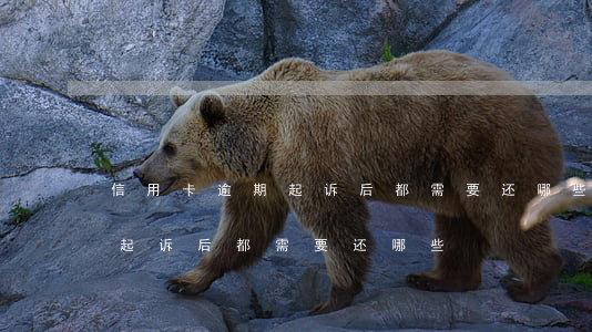 信用卡逾期起诉后都需要还哪些 信用卡逾期起诉后都需要还哪些