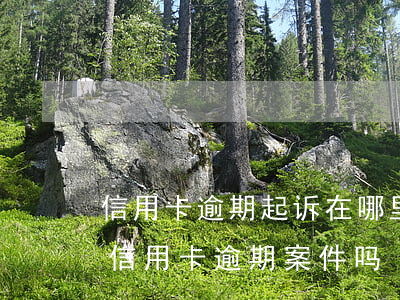 信用卡逾期起诉在哪里开庭(法院现在还接受信用卡逾期案件吗)