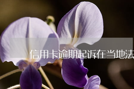 信用卡逾期起诉在当地法院吗