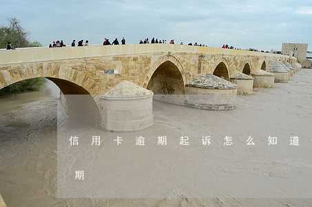 信用卡逾期起诉怎么知道-查信用卡是否逾期