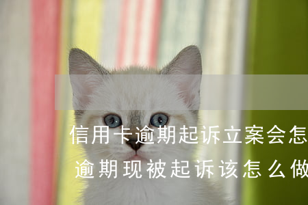 信用卡逾期起诉立案会怎么样(因服刑信用卡逾期现被起诉该怎么做)