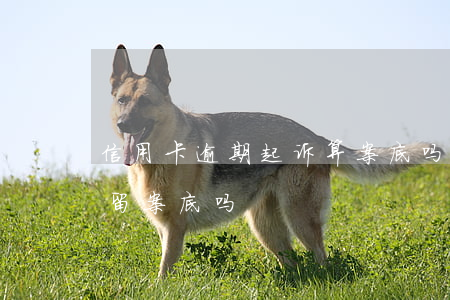 信用卡逾期起诉算案底吗(信用卡逾期起诉会留案底吗)