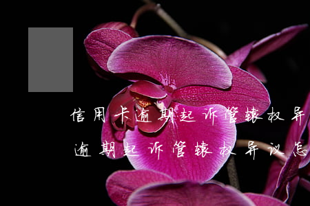 信用卡逾期起诉管辖权异议怎么写-信用卡逾期起诉管辖权异议怎么写的