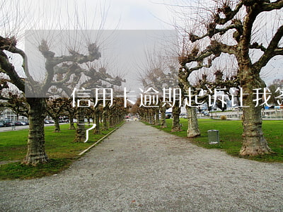 信用卡逾期起诉让我签字(信用卡逾期被起诉了)