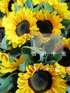 信用卡逾期起诉败诉怎么处理(法院如何判信用卡逾期)