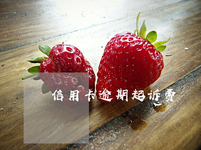 信用卡逾期起诉费