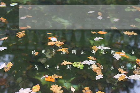 信用卡逾期起诉还款后会撤销吗-两年前信用卡逾期已还后来取消卡了
