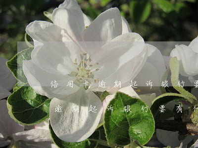 信用卡逾期起诉银行要有什么流程-信用卡逾期起诉银行要有什么流程吗