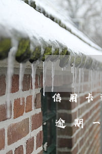 信用卡逾期超5000元-信用卡5000逾期一年了