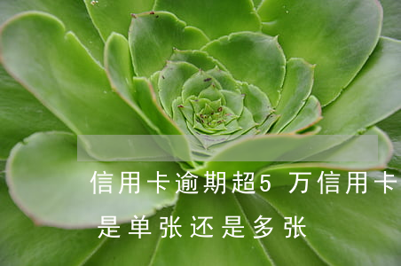 信用卡逾期超5万(信用卡逾期超5万会判刑是单张还是多张?)