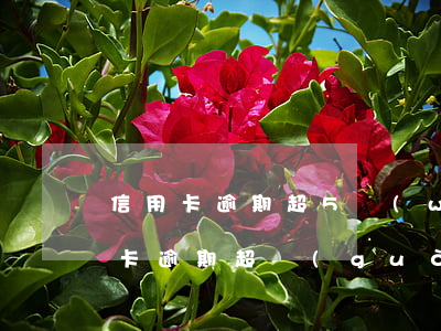 信用卡逾期超5萬(wàn)怎么處理(信用卡逾期超過(guò)5萬(wàn)怎么辦)