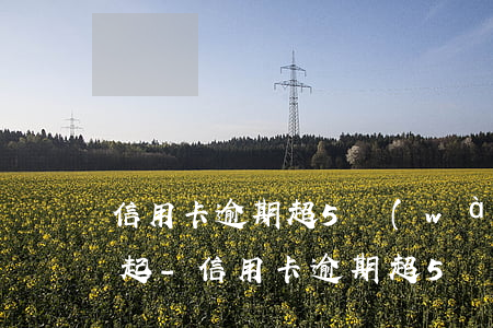 信用卡逾期超5萬(wàn)是單張還是一起-信用卡逾期超5萬(wàn)是單張還是一起還款