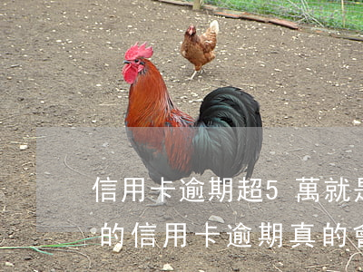 信用卡逾期超5萬就是惡意透支嗎(超過五萬的信用卡逾期真的會(huì)立案嗎)