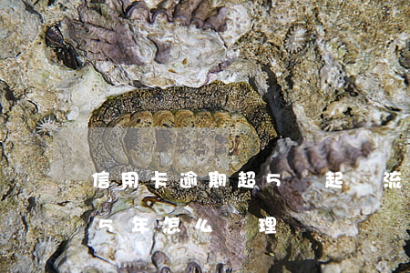 信用卡逾期超5萬起訴流程(信用卡5千逾期5年怎么處理)