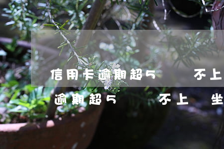 信用卡逾期超5萬還不上會坐牢嗎-信用卡逾期超5萬還不上會坐牢嗎知乎