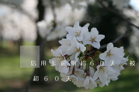 信用卡逾期超60天會被起訴嗎（信用卡逾期超60天）