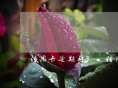 信用卡逾期超9億(信用卡7萬逾期)
