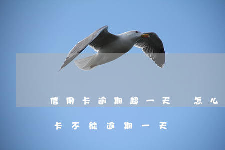信用卡逾期超一天會怎么樣(哪個銀行的信用卡不能逾期一天)